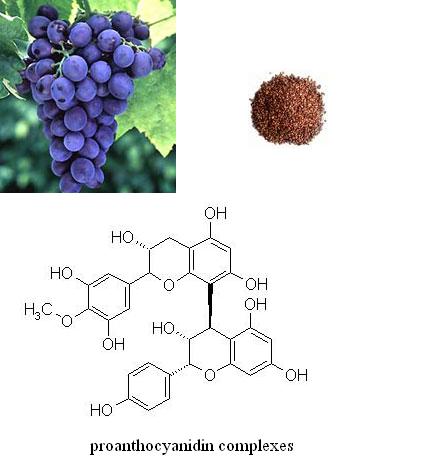 สารสกัดเมล็ดองุ่น, Grape Seed, Oligomeric proanthocyanidin, OPC
