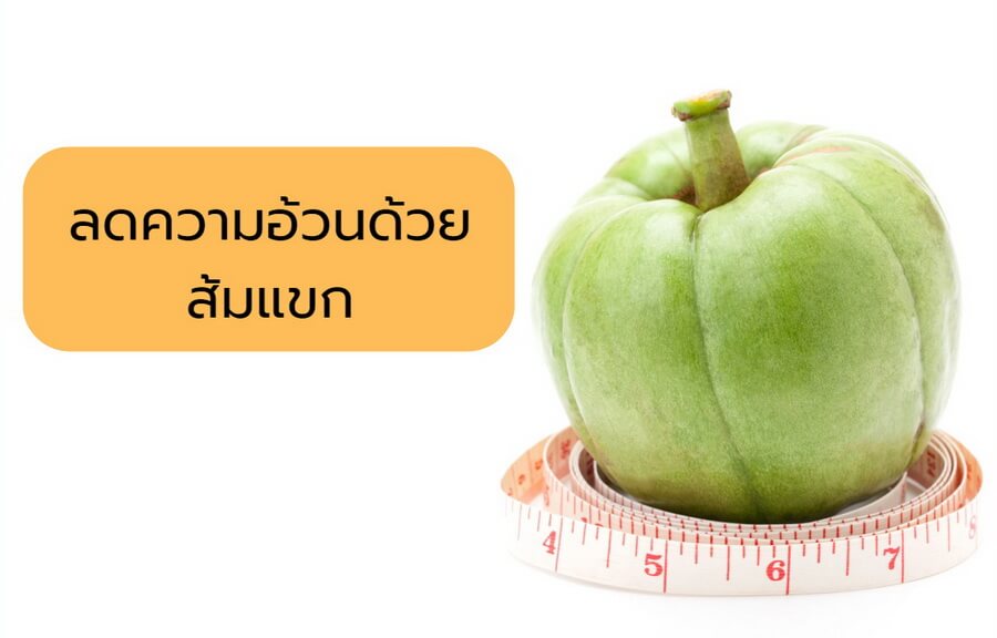 ส้มแขก