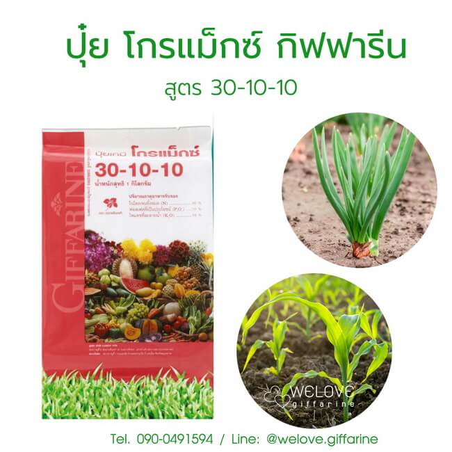 ปุ๋ยกิฟฟารีน 30-10-10