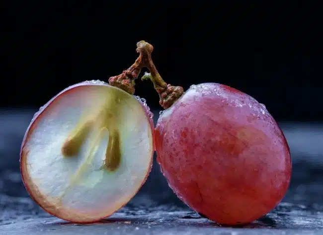 Grape seed, สารสกัดเมล็ดองุ่น