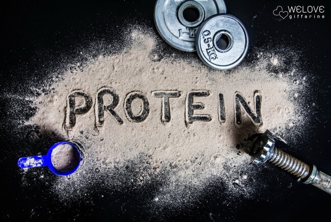 Protein, โปรตีน