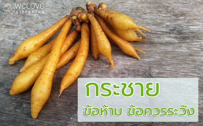 กระชายขาวข้อห้าม, ข้อห้ามกระชาย