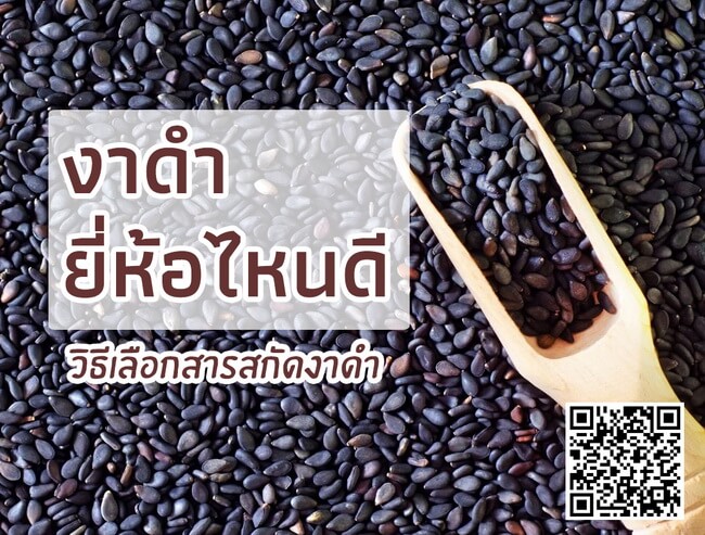 งาดำ ยี่ห้อไหนดี