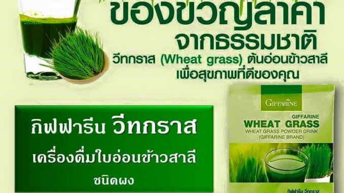 วีทกราส กิฟฟารีน วีทกราส กิฟฟารีน