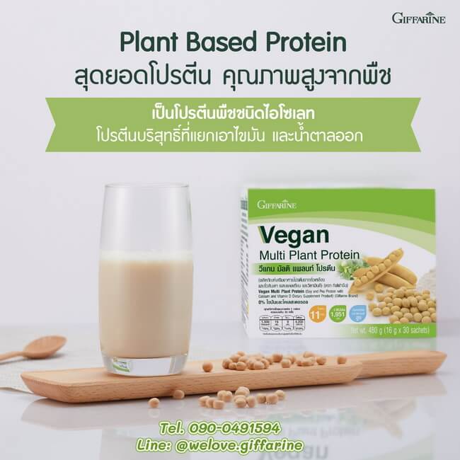 วีแกนกิฟฟารีน, โปรตีนจากพืช, plant based protein