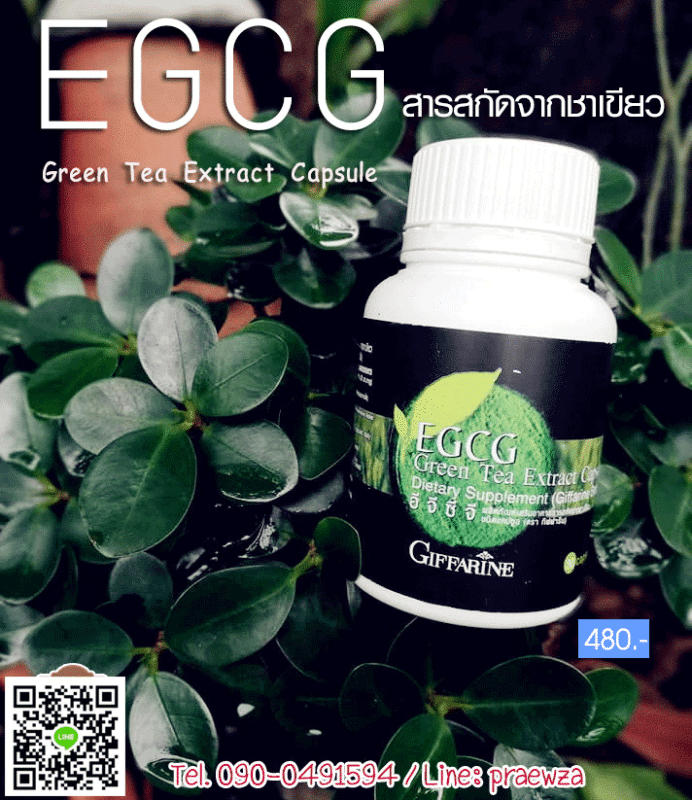 อีจีซีจี กิฟฟารีน